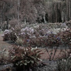 Life Is A Garden Freestyle Ft. emotions | Prod. Valious