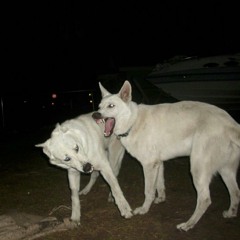 nothing feels real anymore