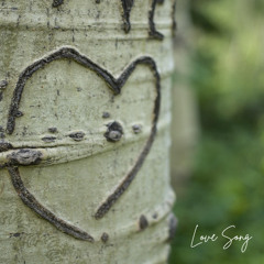 Love Song