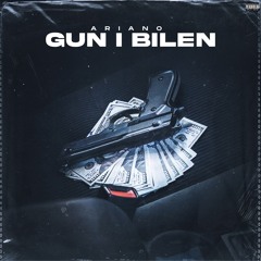 Gun i bilen