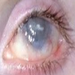 На круглой планете (dj mashenka remix)