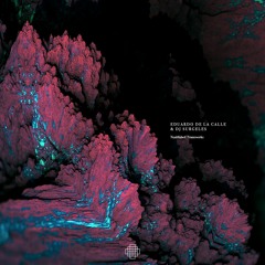 Lost In Ether | P R E M I E R E | Eduardo De La Calle & Dj Surgeles - Track 2.001 [Arido Records]