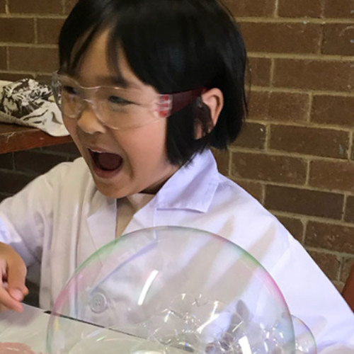 Why Are Incursions for Schools A Great Choice? Read to Learn More.
