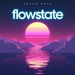 flowstate