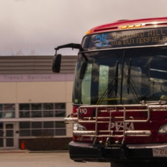 UMass Roadeo