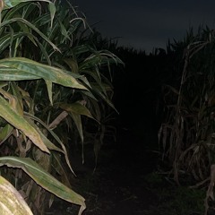 I Don’t Need You (OPEN) 12.27.24