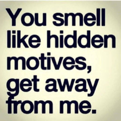 xxwag on a daily