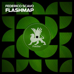 Federico Scavo - Flashmap
