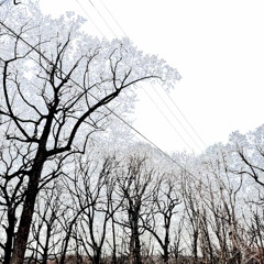 ACTLIKESAINTT - PUSH COMES TO SHOVE (PROD. ACTLIKESAINTT) [7SHENE EXCLUSIVE]