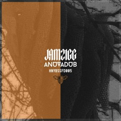 HNYBSSFD005: JAMZIGG - ANUVADUB