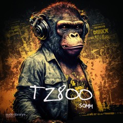 TZ800 — SOMM | Free Background Music | Audio Library Release