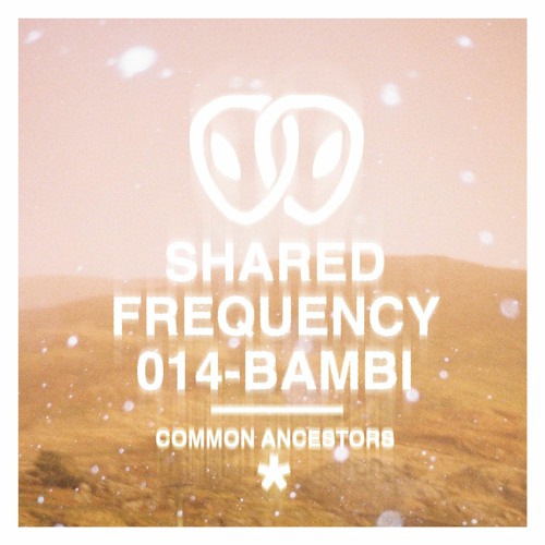 Shared Frequency 014: Bambi
