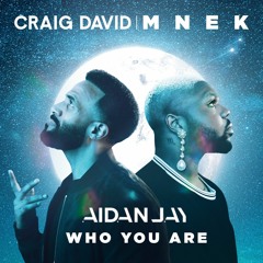 Who You Are - Craig David & MNEK (AidanJay Bootleg) SC