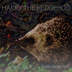 Harry The Hedgehog