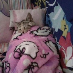 Boombastic ??? Otakyremix