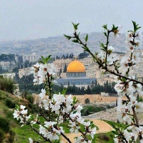 مولاي إني سائر