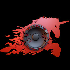 Sonic unicorn @ BeerGeek Karlin, Prague (warm-up) on 14-03-2025
