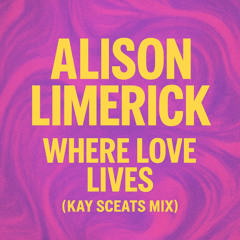 Where love lives (Kay sceats remix)