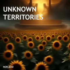 Unknown territories
