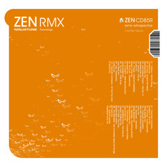 Evolution II (Mr. P Remix) [feat. Fontella Bass]