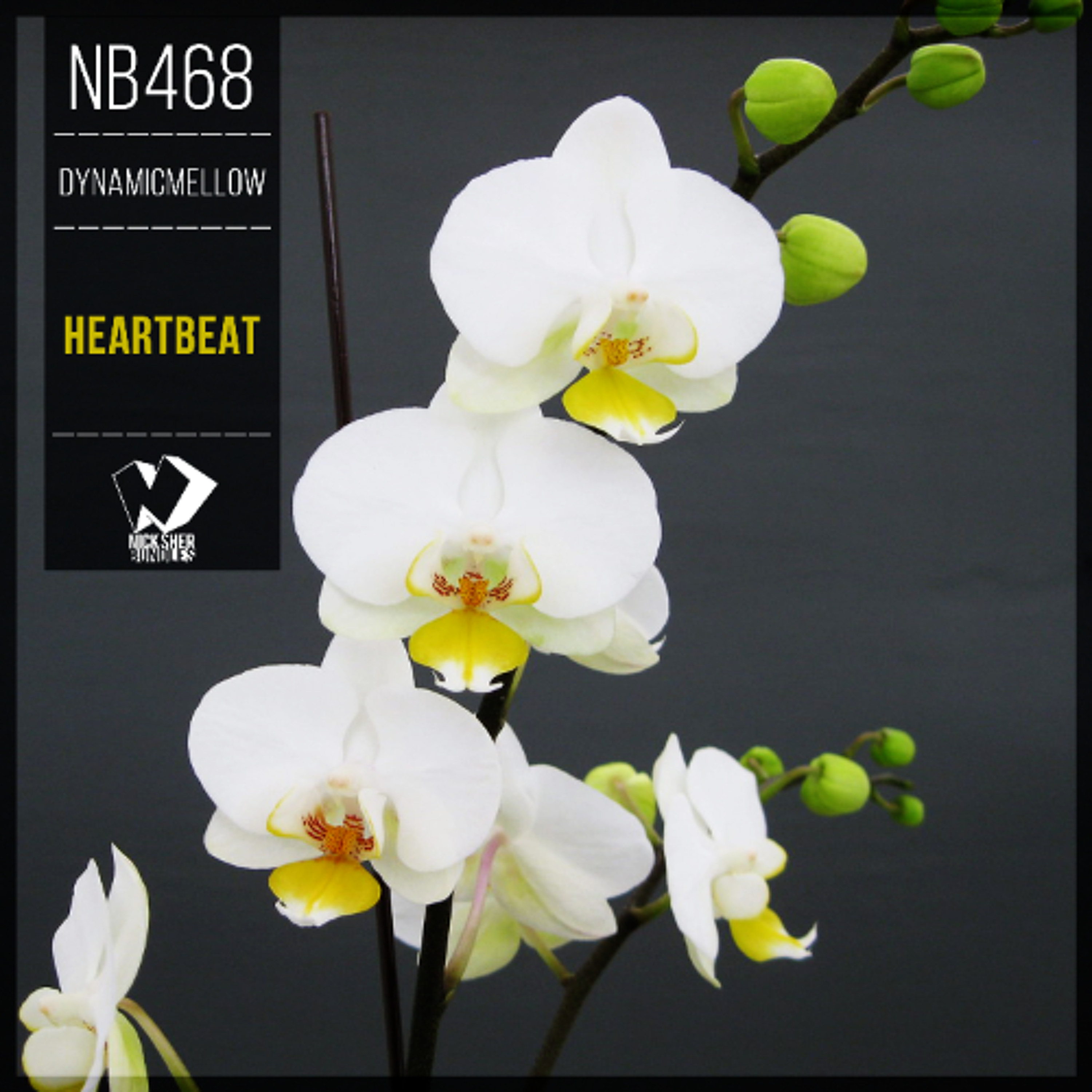 DynamicMellow - Heartbeat (Original Mix) episode artwork
