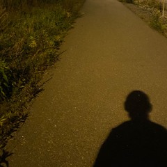 Been Insane - John Frusciante (Cover)