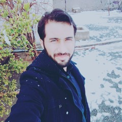 Ustad Ahmed Wali