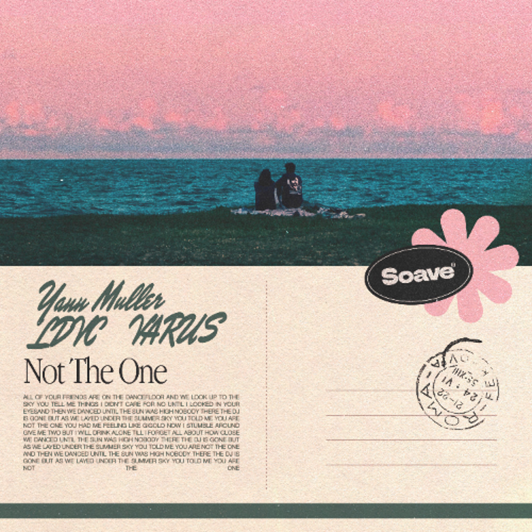 Yann Muller & LDVC - Not The One (feat. VARUS)