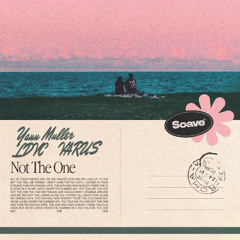 Yann Muller & LDVC - Not The One (feat. VARUS)