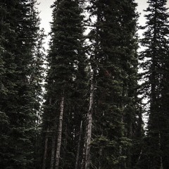 Seppuku (feat. Hellxn)