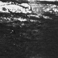 muuttolinnut, rantahiekkaa, (feat. Pariisin Kevät)