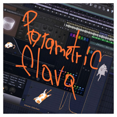 Parametric Flava