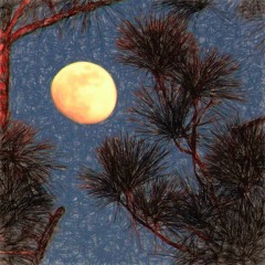 Hanging The Moon (naviarhaiku391)