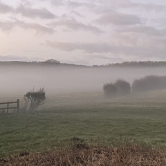 Green Haze