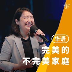 完美的不完美家庭（华语）14/05/2023