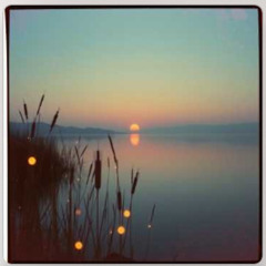 Last Light on the Water