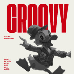 Groovy Duck - Original mix - Aidan