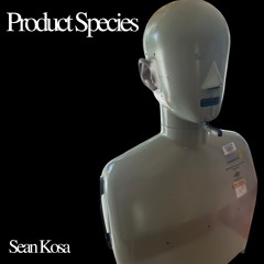 TL PREMIERE : Sean Kosa - Race To The Bottom [Facecontrol Audio Industries]