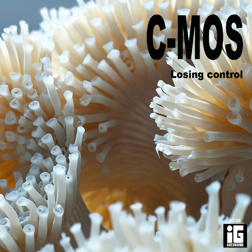 Losing Control (Extended Version)