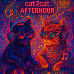 Nachttanzdemo 2025 - cat2cat Afterhour