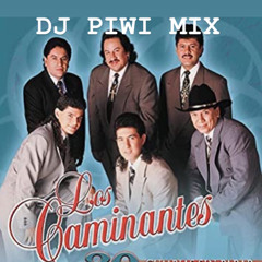 DJ PIWI MIX LOS CAMINANTES CUMBIAS PARA BAILAR MIX