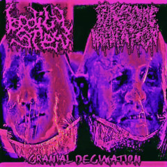 bodily stew - psuedohermaphoditism