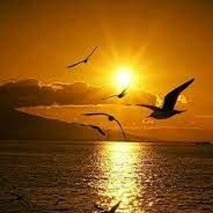 Freedom - You are Free, fly, fly.
