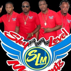 SKY LEVEL NEW LEVEL DANCEHALL MIX ..19:9:2020