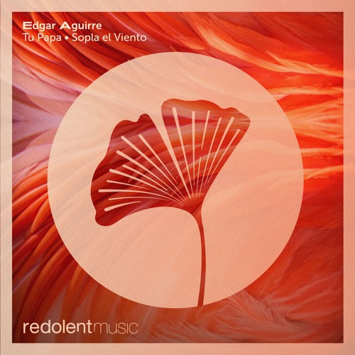 RDT096 Edgar Aguirre - Tu Papa EP