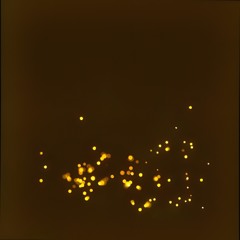 COUNTRY HIT - LE LUCCIOLE CANTANO - CANZONI DEL BOSCO - RELEASE - Fomalhaut