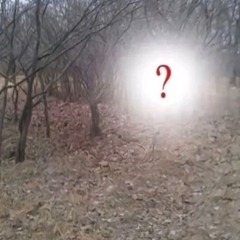 ?