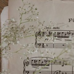 Yuksek Sosyete (Violin)