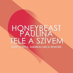 Honeybeast, Paulina - Tele A Szívem (Berry Pappa, Andreas Meck Rework)