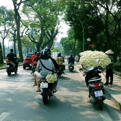 Tàn Phai